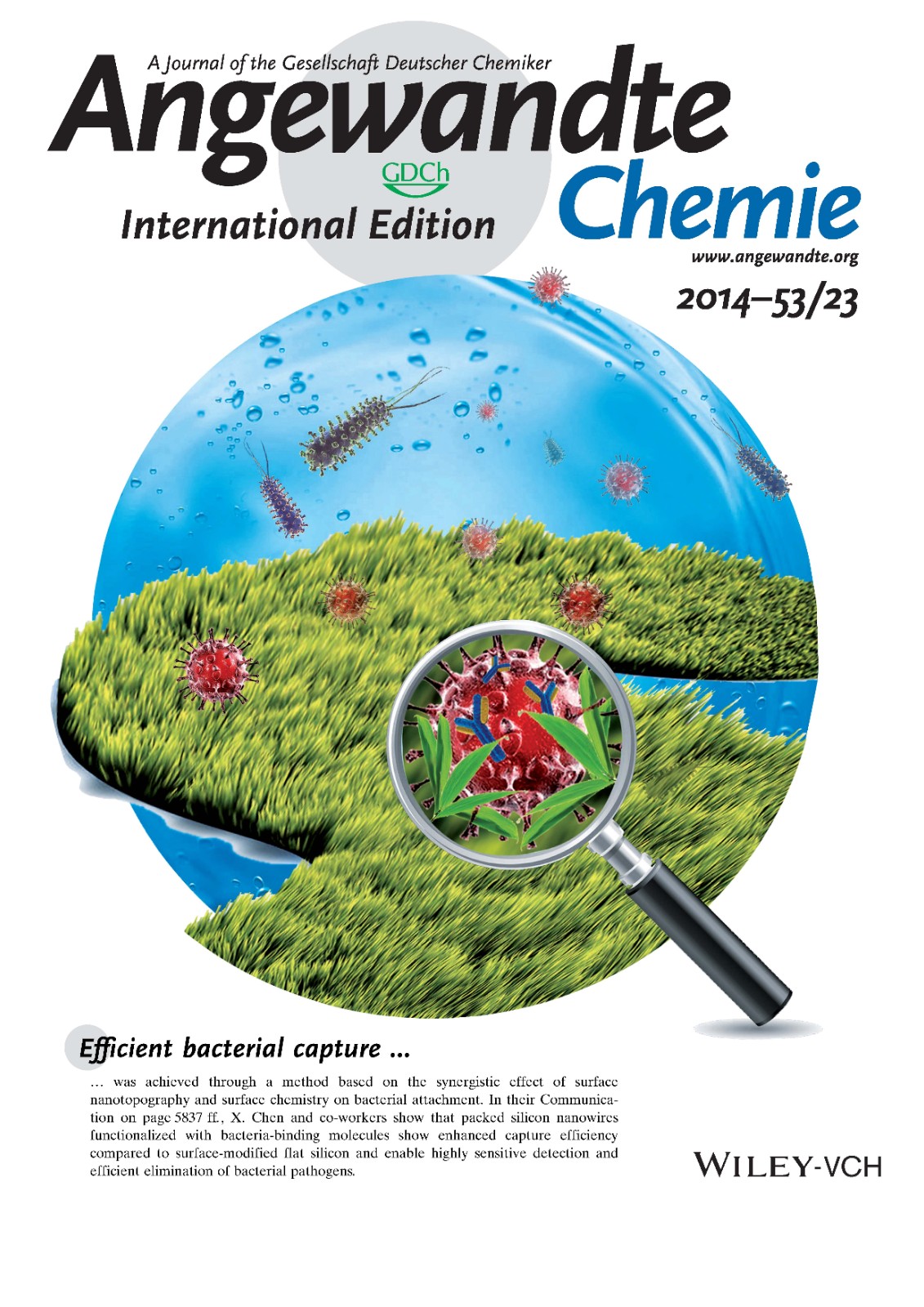 2014-Inside cover-Angew.jpg