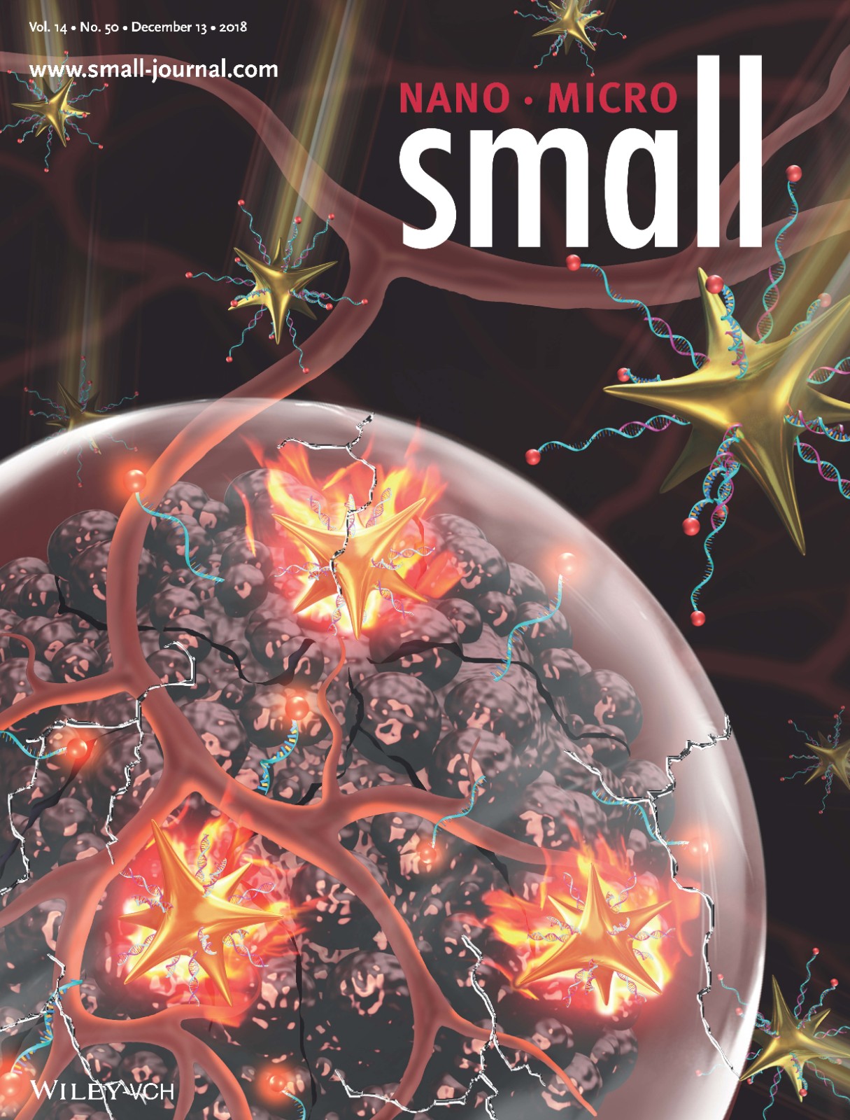 small cover-high resolutuion.jpg