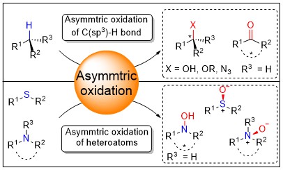 graphical abstract.jpg