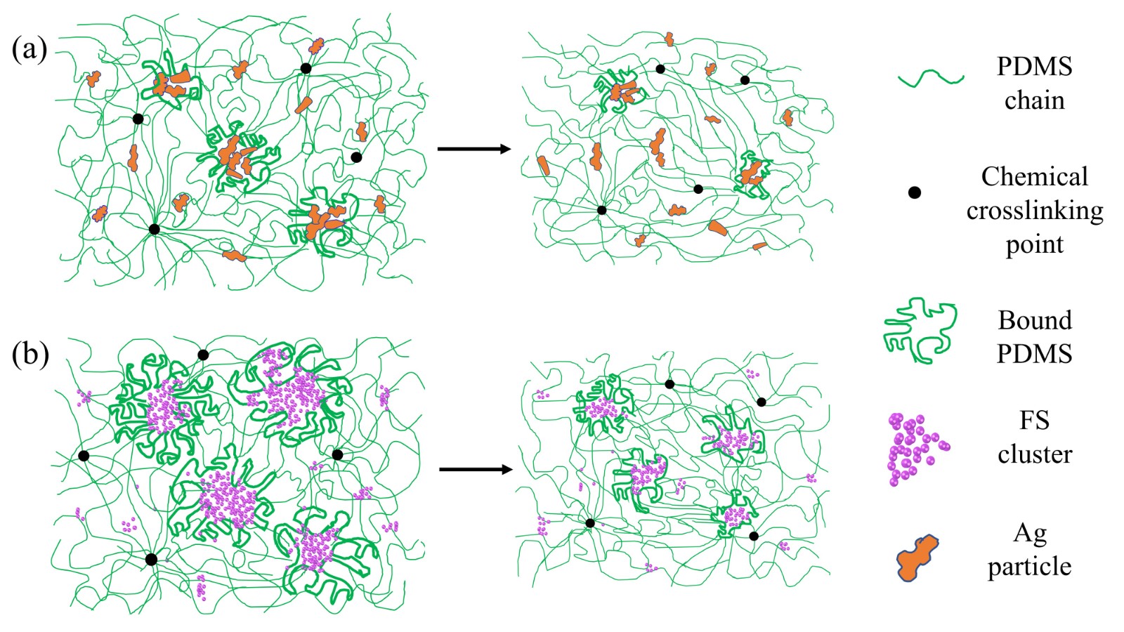 2. Graphical Abstracts.jpg