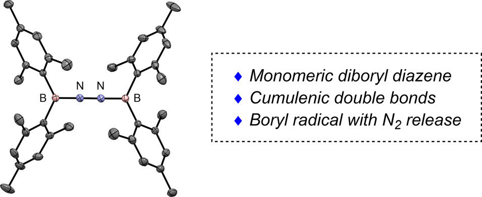 images_large_ja5c14754_0007.jpeg images_large_ja5c14754_0007.jpeg