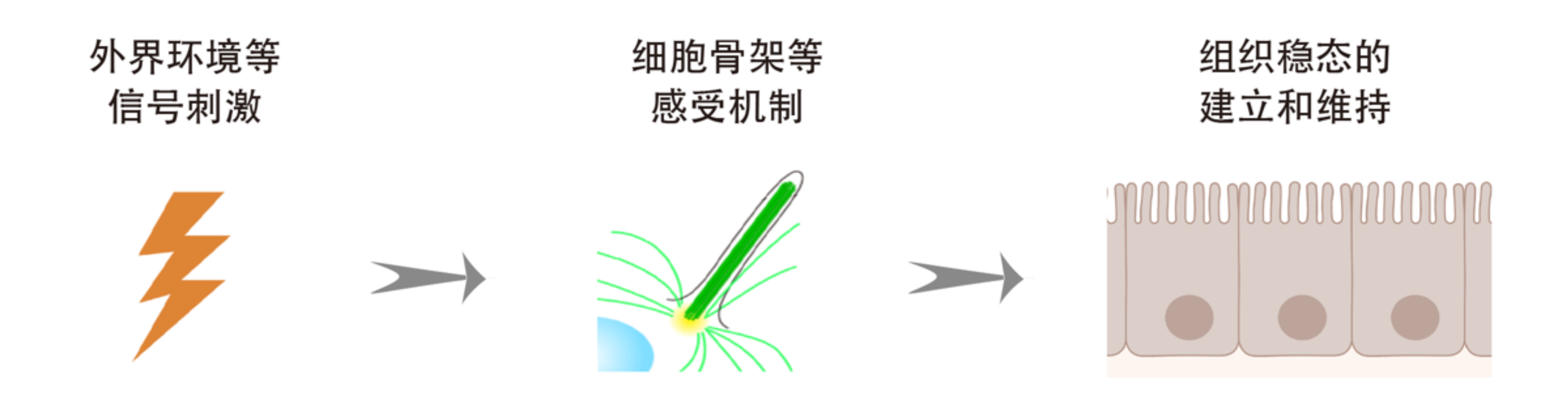 111 个人网页.png